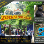 Montage_zonea_dedettede3 Montage_zonea_dedettede3