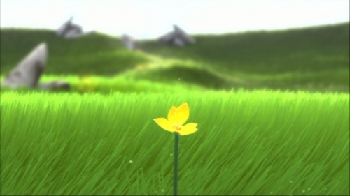 Flower 3