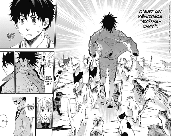 Avis manga : Félin pour l'autre ! (Tome 1)
