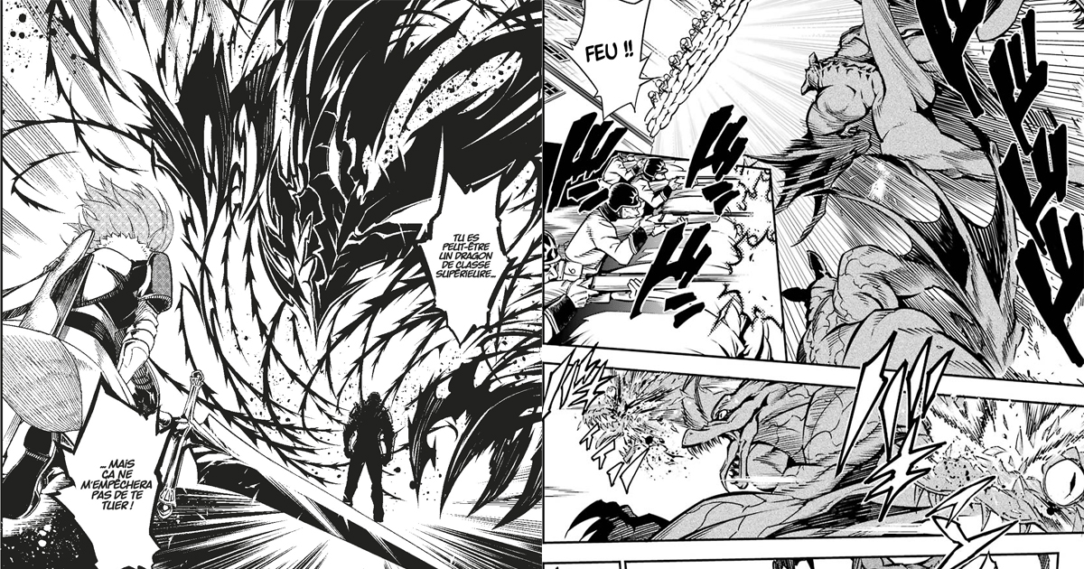 Avis manga : Ragna Crimson (Tome 1)