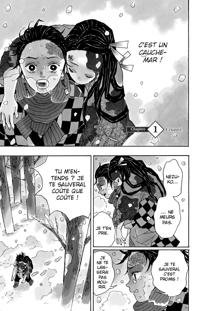 Qui Est L'auteur De Demon Slayer