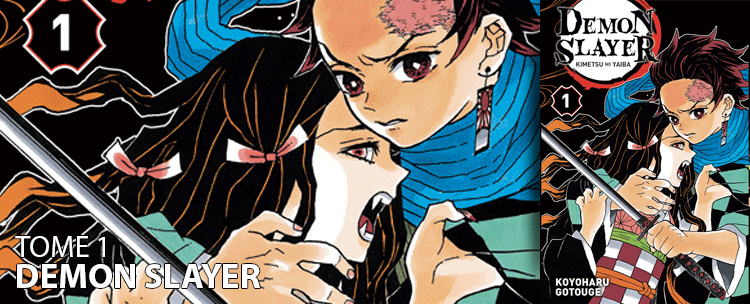 Avis manga : Demon Slayer (Tome 1)
