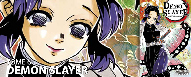 Avis manga : Demon Slayer (Tome 6) - Manga