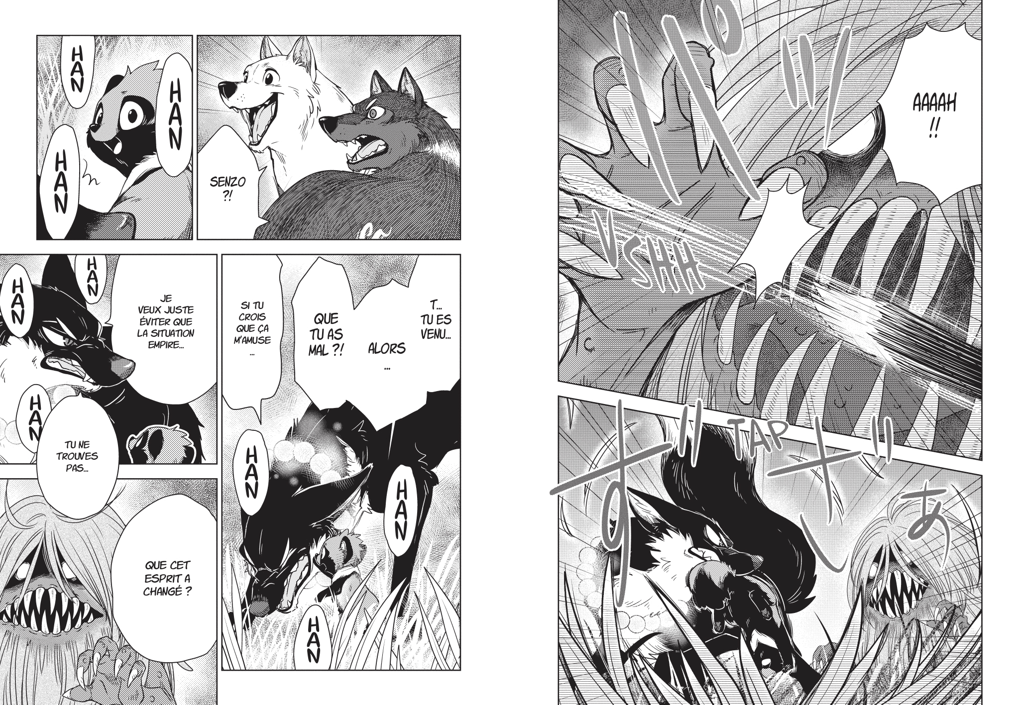 Le Renard Et Le Petit Tanuki Tome 4