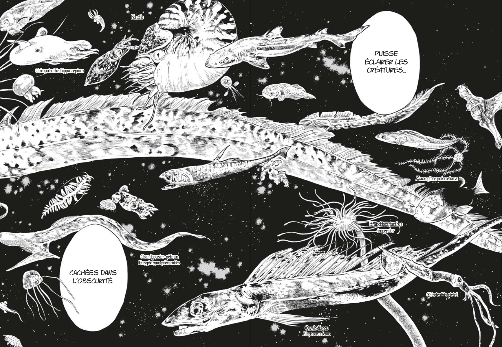 Deep Sea Aquarium Magmell Scan Vf Avis manga : Deep Sea Aquarium Magmell - Tome 3 et tome 4 - Manga